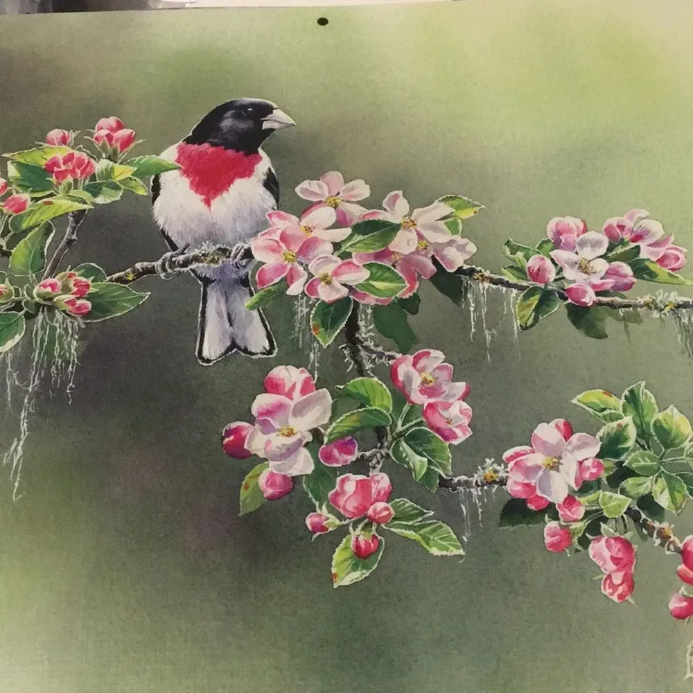 LANG Songbirds 2025 Calendar - GREAT FOR CRAFTS